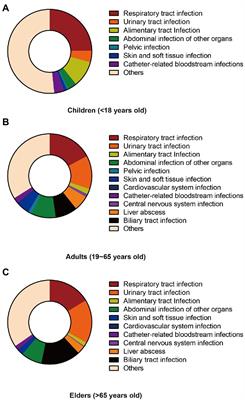 Antimicrobial susceptibility to polymyxin B and other comparators against Gram-negative bacteria isolated from bloodstream infections in China: Results from CARVIS-NET program